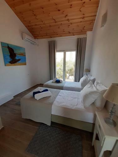 Villa Anastasia With Pool Near The Beach