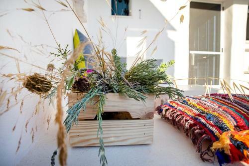 Liber Villas Paros