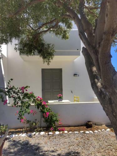 Apartamento Naxos Harmony