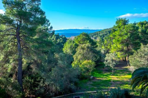 Apartamento Forest Resort Skiathos