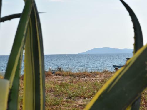 Apartamento Notos Resort - Tristinika Sithonia