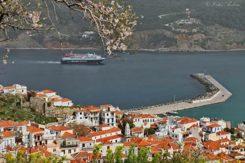 Villa Avaton Near Skopelos Town