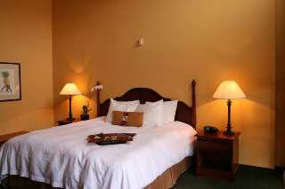 Hotel Hampton Inn & Suites Convention Ctr