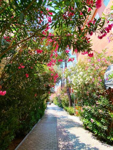 Apartamento Ktima Papaoikonomou 2