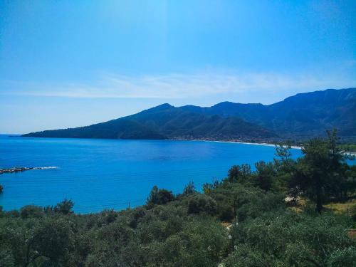 Hotel Celeste Golden Beach