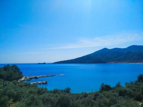 Hotel Celeste Golden Beach