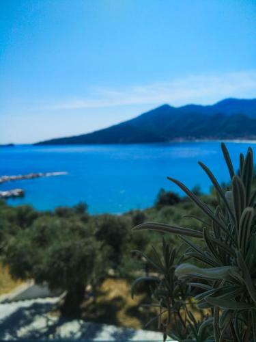 Hotel Celeste Golden Beach