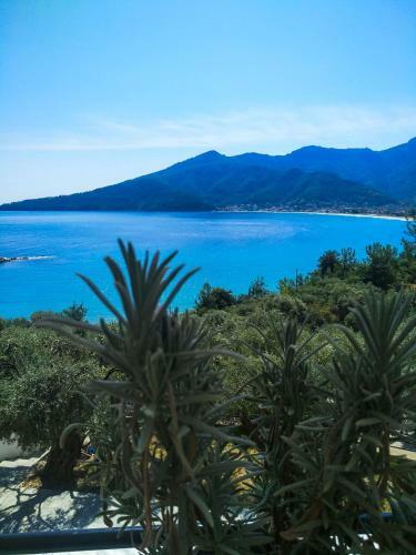 Hotel Celeste Golden Beach