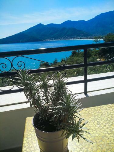 Hotel Celeste Golden Beach