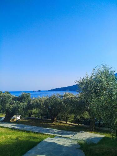 Hotel Celeste Golden Beach