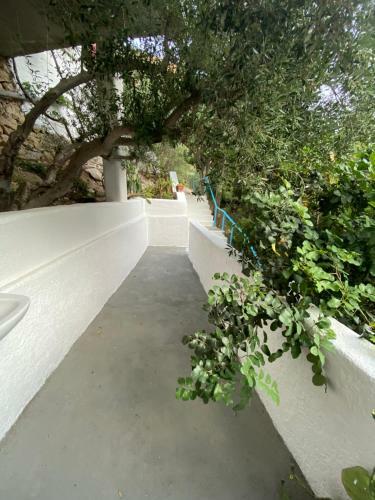 Apartamento Oleander's Garden Traditional Cretan Cottage