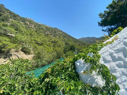 Apartamento Oleander's Garden Traditional Cretan Cottage