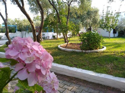 Apartamento Makedonia