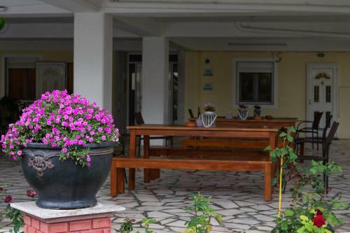 Zoi Apartments