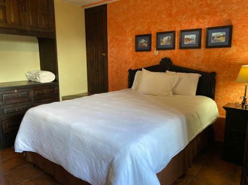 Hotel Posada San Pedro
