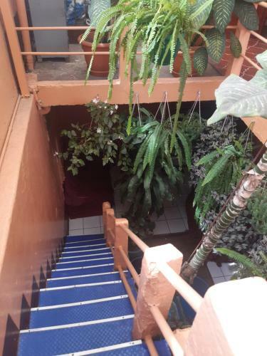 Hotel Reforma
