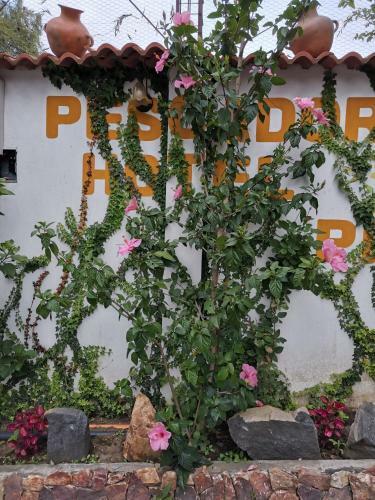 Pescador Hotel Ph