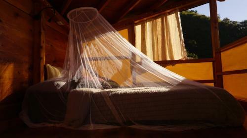 El Picnic Atitl�n