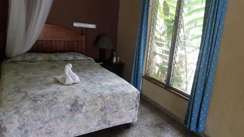 Hotel Tikal Inn