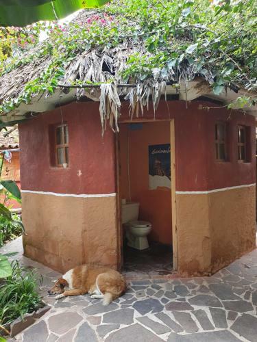 Hotel Mayan Casas