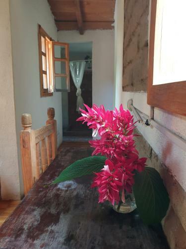 Hotel Mayan Casas