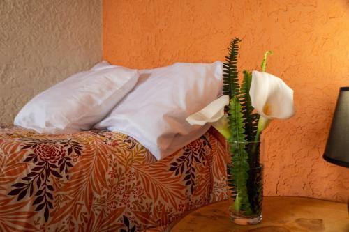 Rancho Fortaleza Atitl�n