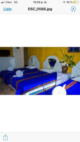 Hotel Amigo