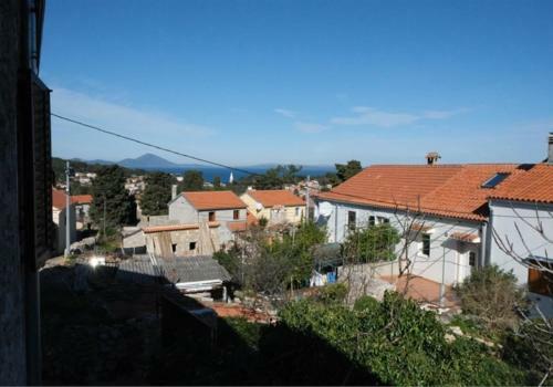 Apartments Jelena