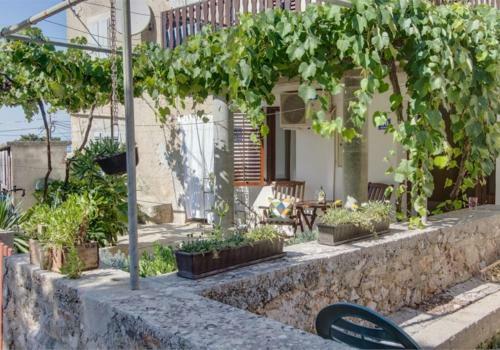Apartments Jelena