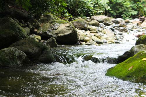 Lodge Recap Investments / Corinto Pearl Villa