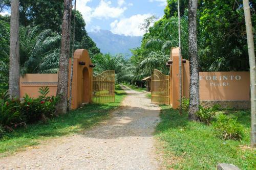 Lodge Recap Investments / Corinto Pearl Villa