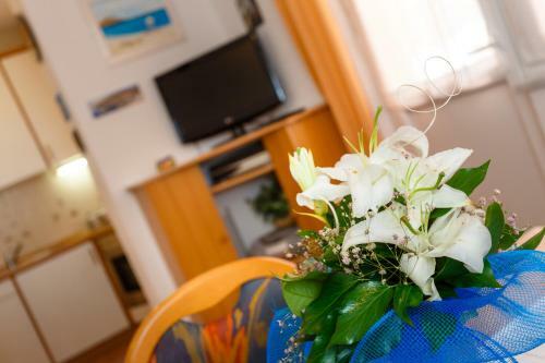 Apartmani Vr?ek