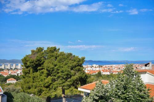 Bellevue Hill Apartment