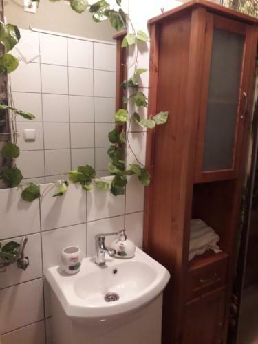 Apartamento Lorenz