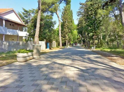 Apartamento Studio In Biograd Na Moru With Wifi