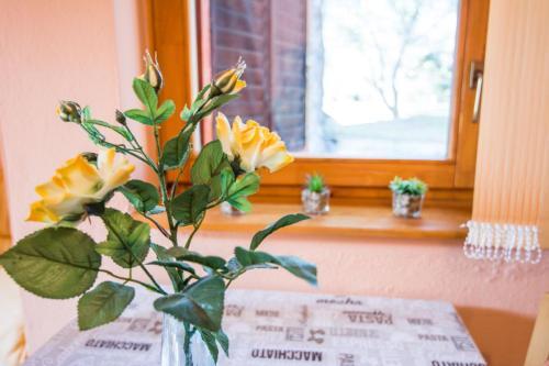 Apartment Maestral