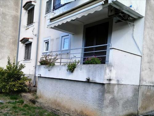 Apartment Marenic