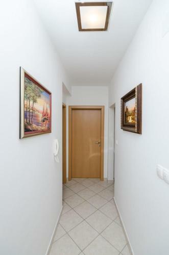 Apartamentos Omega Cert