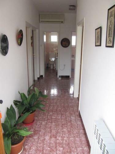 Apartamento Maja