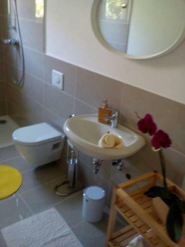 Apartamentos Djurdja Dvorska