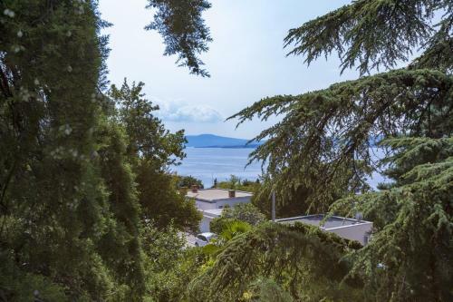 Apartamentos Popovic