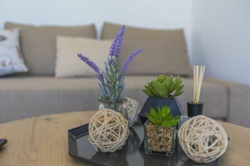 Apartments M And M