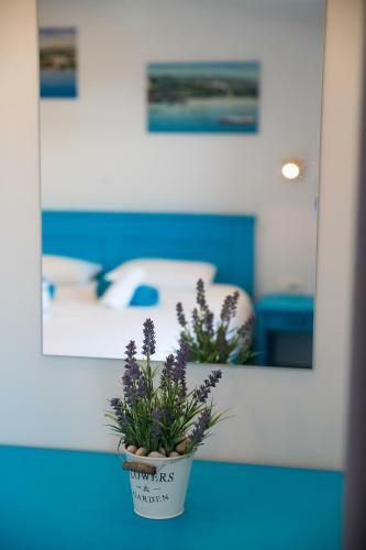 Luxury Sea View Apartments