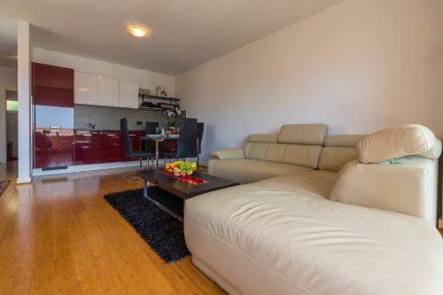 Apartment Ante