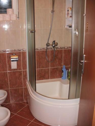 Apartment Mirjana