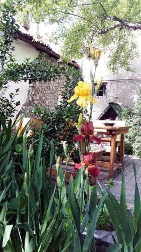 Hostal Southside