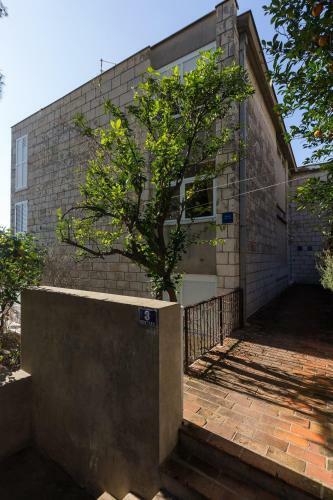 Apartment Ventula