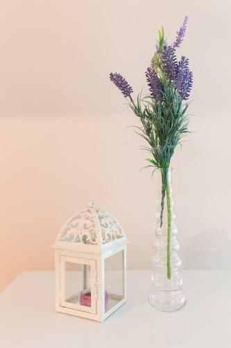 Apartment Ventula