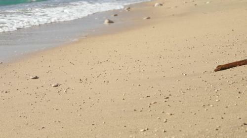 Luxury Beachfront Apartment Banje