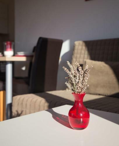 Apartamentos Villa Janja